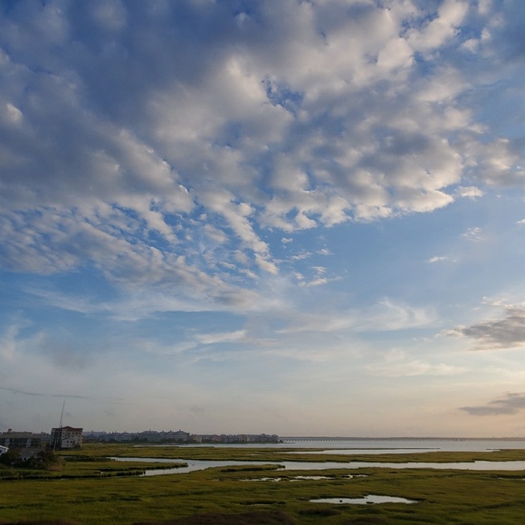 Meet your Posher, Jim - Picture 1 of 1